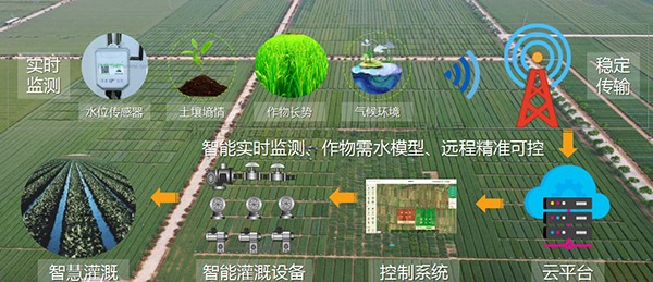 lewin乐玩官网：以现代种业尺度，助力造种大县建设工作