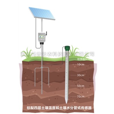 20220507172502255676 管式泥土墒情监测仪
