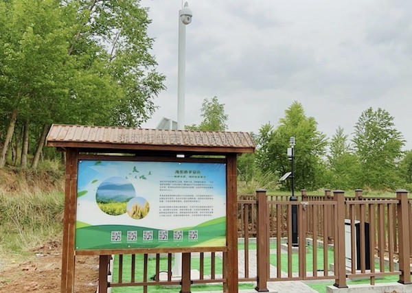 走进国度级油菜夏繁基地，感触科技赋能蓬勃动力