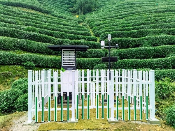 lewin乐玩官网颁布“问稷茶数”智能体，赋能茶产业数智升级