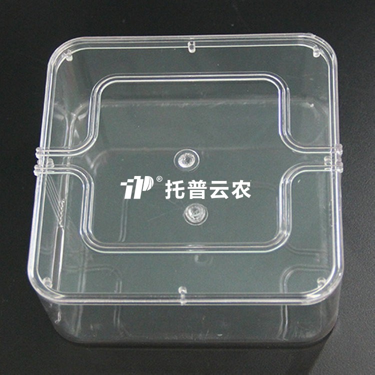 种子抽芽盒12*12，13*19