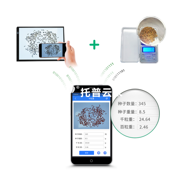千粒沉仪 V2.0