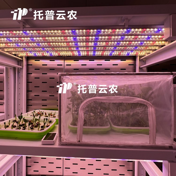 顶置光源人为气象室是什么？