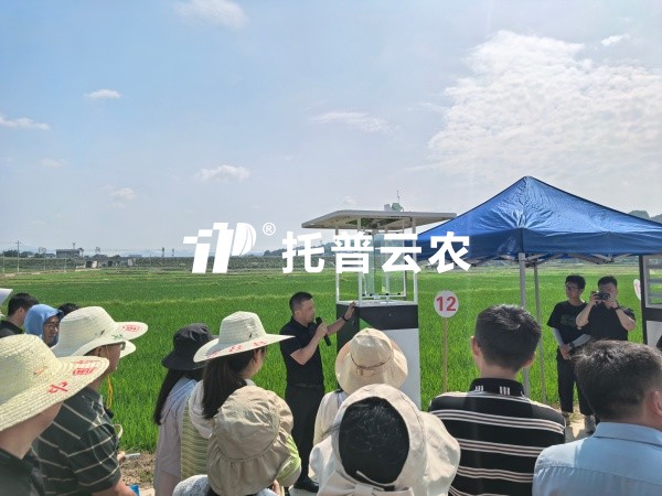 从“监测”到“智庞妆！lewin乐玩官网智能（AI)虫情测报灯沉磅颁布，智慧植保迈入“智庞妆时期