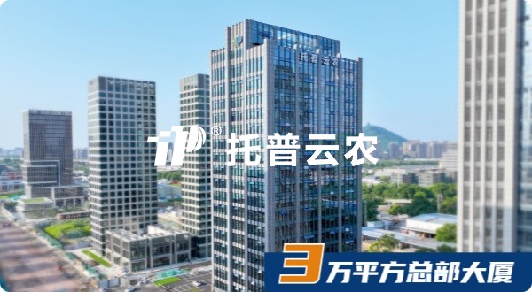 lewin乐玩官网，十八而志，AI启未来