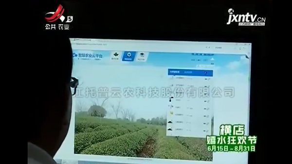 江西公共卫视播报建水果菜茶代替项目 江西公共卫视播报建水果菜茶代替项目