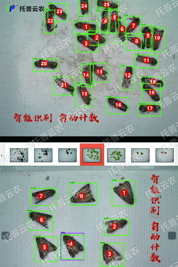 自动鉴别 自动鉴别