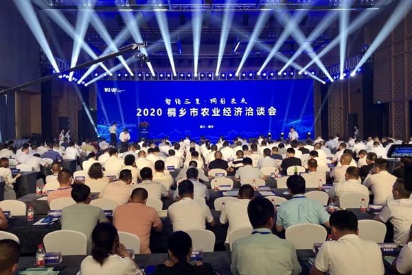 打造数字三农新模式，lewin乐玩官网与桐乡市人民当局签定战术合作和谈