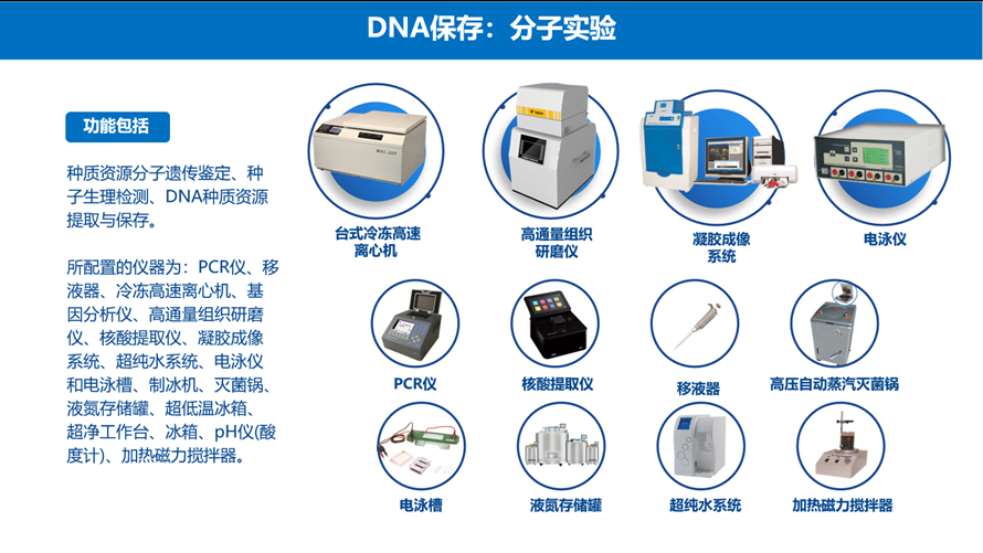 分子尝试仪器 分子尝试仪器