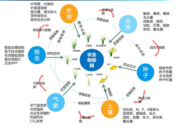 lewin乐玩官网打造的全身分智能采集系统 lewin乐玩官网打造的全身分智能采集系统
