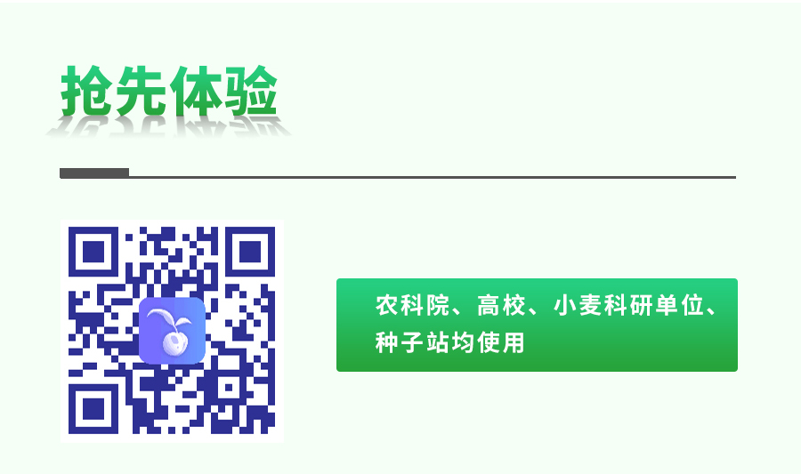 幼麦表型检测仪 幼麦表型检测仪