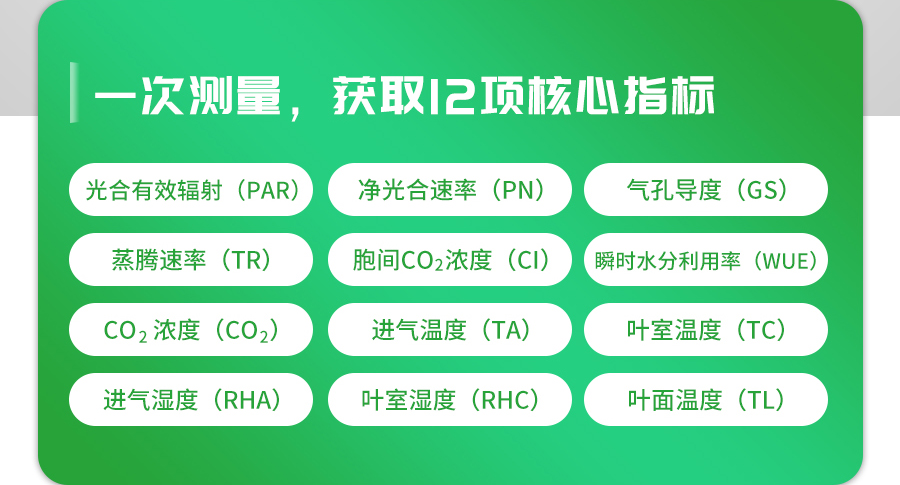 光合作用测定仪 光合作用测定仪